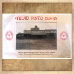 100years-celebrate-1