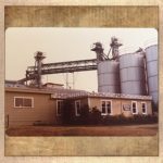 100years-celebrate-11