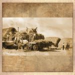 100years-celebrate-2